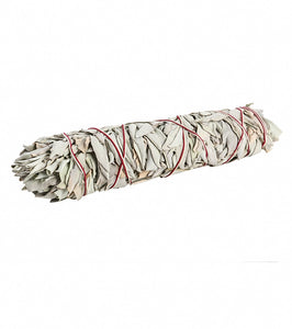 Jumbo White Sage Smudge